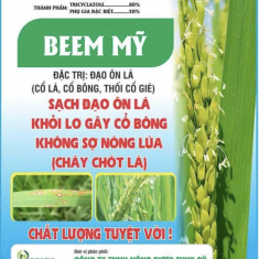 BEEM MỸ – DOLAZOLE 80WP