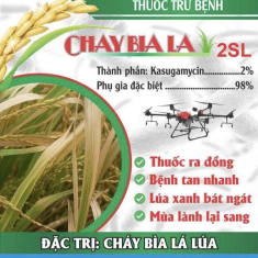CHAY BIA LA 2SL